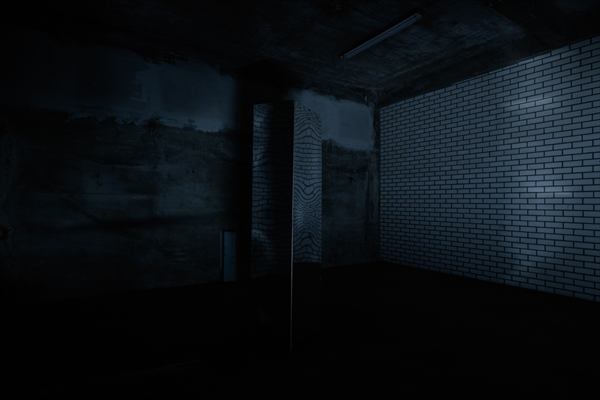 Image 3: the empty room with the tiled wall.