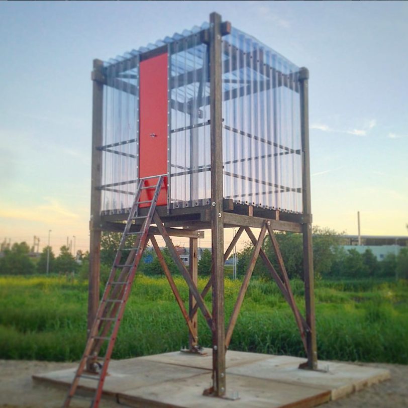 Het Gigabed bij avondlicht: een doorzichtige kamer van golfplaat met een rood paneel, op een frame van zware houten palen boven een grasveld, met een ladder ertegenaan.