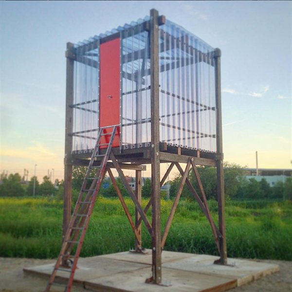 Het Gigabed bij avondlicht: een doorzichtige kamer van golfplaat met een rood paneel, op een frame van zware houten palen boven een grasveld, met een ladder ertegenaan.